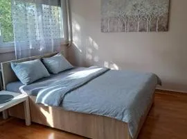 Vist 3 apartment