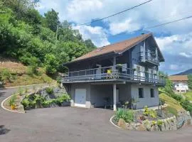 Chalet Vosges La Bresse