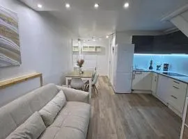 Confort en centre ville à moins de 15 min d Orly