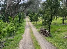 Spacious 4 bed, 2 lounge, 2 bath, Acre home with tree top views - Yarra Valley Gateway!