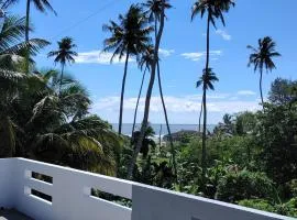 Banyan Scape Villa