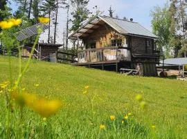 Holzhütte allein am Waldrand