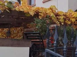 Appartement "Über die Weinreben"