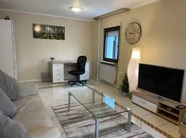 Parkplätze, Einzelbetten, 2 TVs, Balkon, Terrasse, fast Wi-Fi bis zu 1000 Mbit, Homeoffice