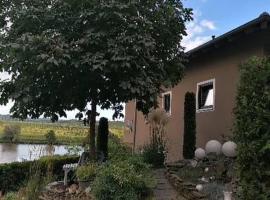 Haus der Weinkönigin Kristina，位于皮斯波尔特的酒店