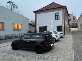 Ullmann Residence cu parcare in curte，位于奥拉迪亚的民宿
