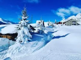 Prime Loft ASTURIAS II SKI & SNOW
