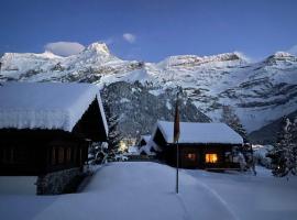 Appartement cosy dans chalet typique Région Diablerets Glacier 3000，位于莱迪亚布勒雷的酒店