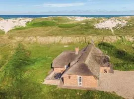 Lovely Home In Ringkøbing With Sauna