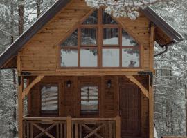 Pino House Zlatibor-Tornik，位于Ribnica的别墅