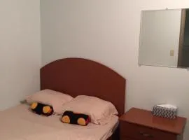 曼哈顿包厘街酒店