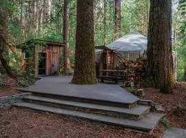 Your private Yurt in the woods - Nevada City