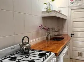 Departamento Céntrico 4