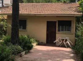 Chalet zona del bosque