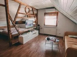 Charmante 1-Zimmer-Ferienwohnung Neuenburg am Rhein