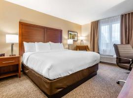 Comfort Inn & Suites，位于戈德里奇的酒店