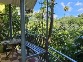 Munnar green portico cottage