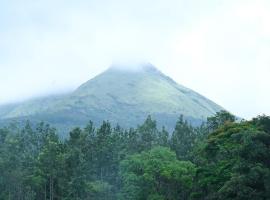 Hill Shadow - Mountain view and Swimming Pool，位于奇克马格尔的酒店