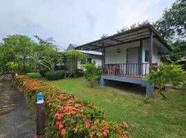 Ruentonnum Amphawa