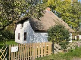 Ferienhaus mit Reetdach