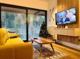 Charmy mountain suite in hotel Phoenix，位于Sarajevo的酒店