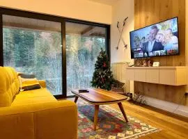 Charmy mountain suite in hotel Phoenix