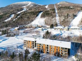 Les Appartements du Massif de Charlevoix，位于圣弗朗索瓦小河的酒店