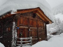 Stall Ferienhaus，位于明斯特的酒店