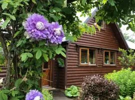 Fern Lodge. Drumcoura Lake Resort,