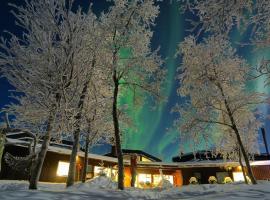 玛塔拉卡北极光旅舍，位于基律纳的山林小屋
