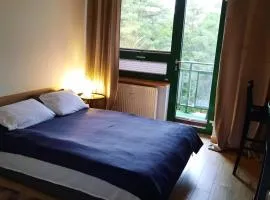 Nad Zalewem w Serocku z siłownią