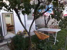 Apartment with big yard and garden