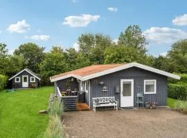 Amazing Home In Hemmet With Wifi