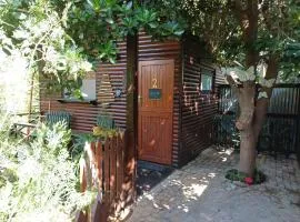 Owl's Den 2