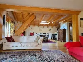 Charming Chalet Downtown