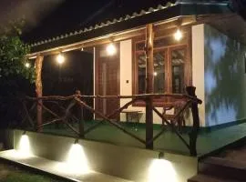 Lemon juice villa