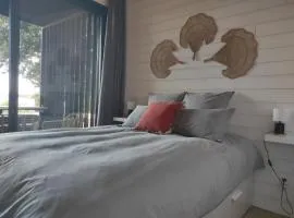 Chambre Perchée avec vue imprenable sur le lac de Lacanau