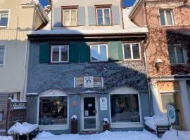 Zentrale reizende Wohnung für 3 Personen