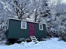 Tranquil Cabin Retreat near Chepstow