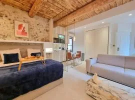 25 rue Celony - Le Vendome - Jacuzzi - VideoProjecteur