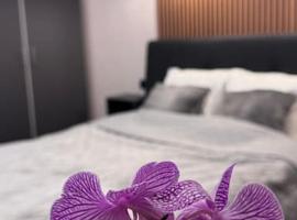 Comfort & Style - Calea Victoriei，位于布加勒斯特的高尔夫酒店