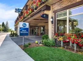 最佳西方流木酒店