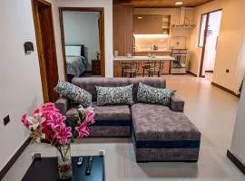 Departamento en centro de Cuenca