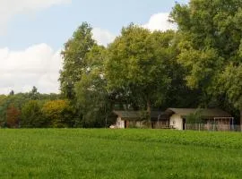Luxury Lodge in Twente with Meadow Views