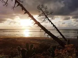 Domus Neroniana - Ingresso privato alla spiaggia.