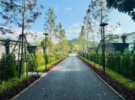 Willow Tree House Khao Yai