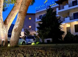 PARNIS PALACE Hotel Suites，位于阿哈奈的酒店