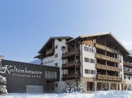 Das gemütliche Dorfhotel Kaltenhauser，位于平茨高谷地霍勒尔斯巴赫的酒店