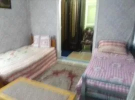 ادفو35 كامب شيزار دور ثالث
