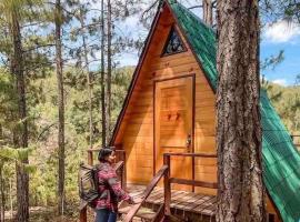 Cabaña privada en el bosque, cerca al rio Starlinkk，位于San Mateo Río Hondo的酒店